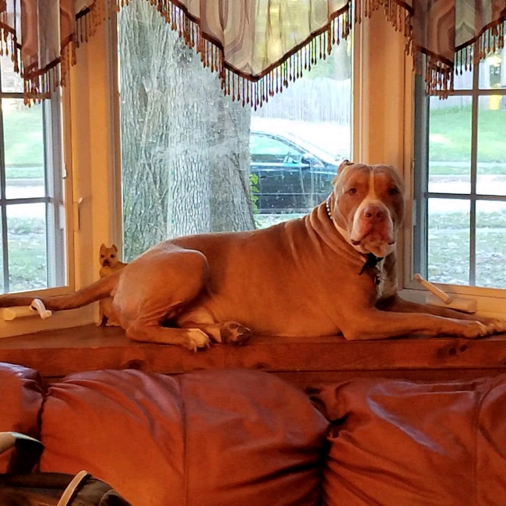 Meet your Posher, Corie